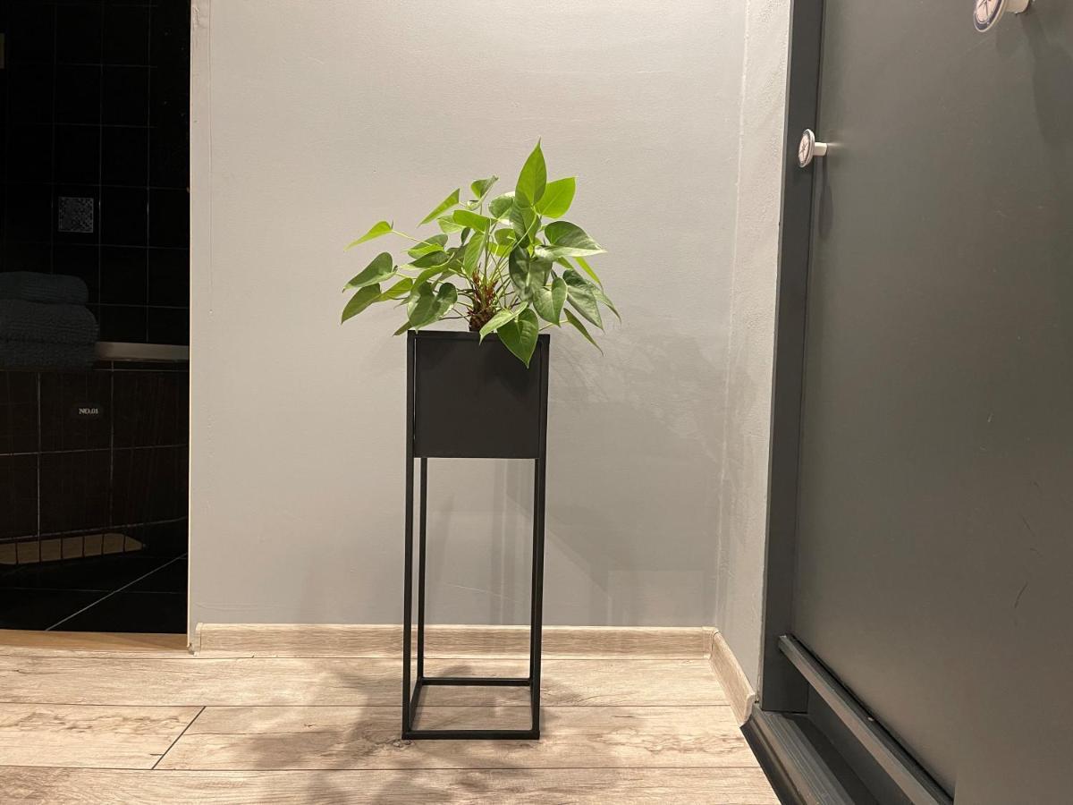 Apartamenty Pod Uwalonym Debem Jezow Sudecki Exteriör bild